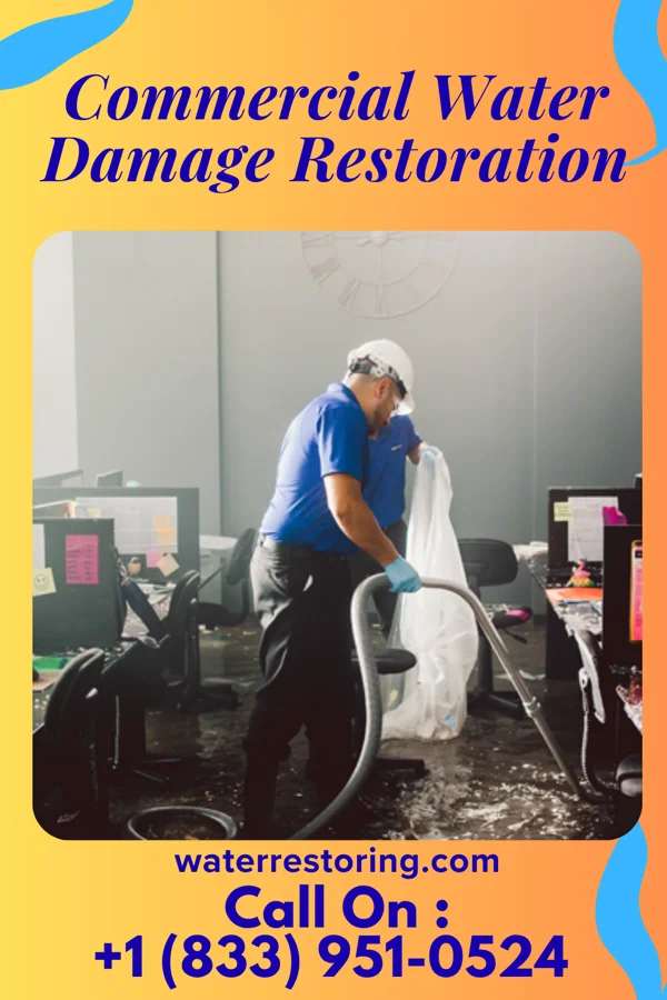 Commercial Water Damage Restoration in Neoga, IL